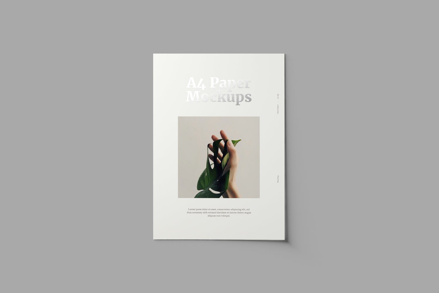 A4纸张宣传单/印刷品设计效果图样机 A4 Paper Mockups插图(1)