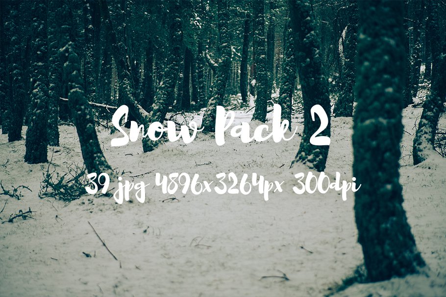 白雪茫茫雪景高清照片素材 Snow Photo Pack II插图(18)