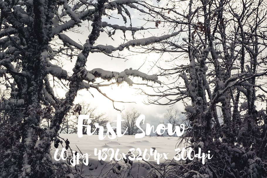 高清雪景照片合集 First Snow photo pack插图(17)