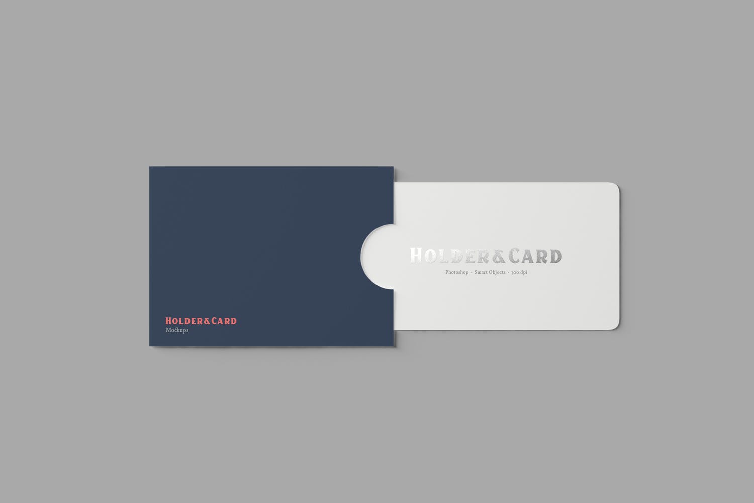 卡片&卡套设计效果图素材库精选 Holder and Card Mockups插图(3)