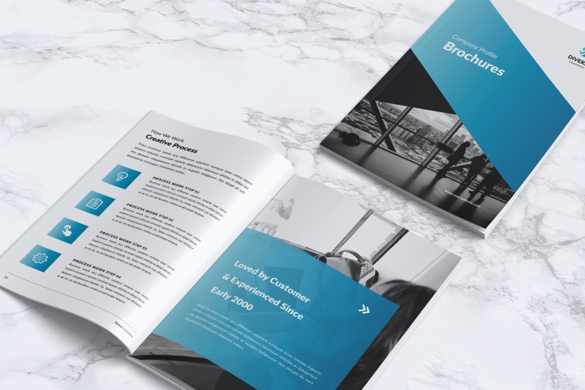 多元化大型公司简介企业画册设计模板 DIVERSE Professional Company Profile Brochures插图(13)