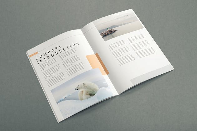 传统艺术品牌指南手册模板 Traditional Art – Brand Guideline Template插图(3)