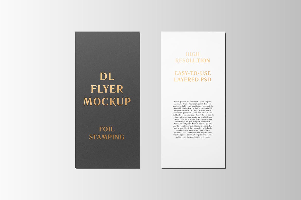 高端逼真质感得DL传单名片铝箔冲压特殊工艺VI样机展示模型mockups插图(6)