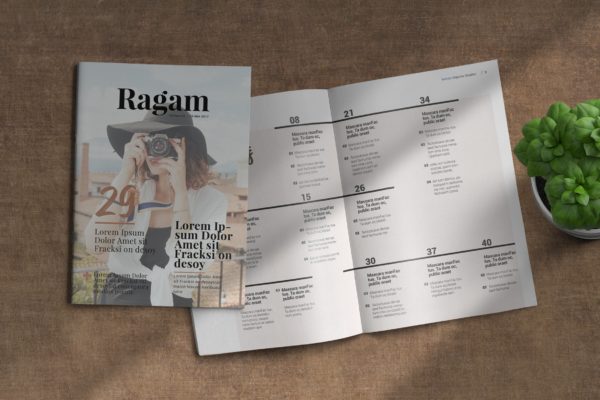 高端旅行/摄影主题素材库精选杂志版式设计InDesign模板 InDesign Magazine Template