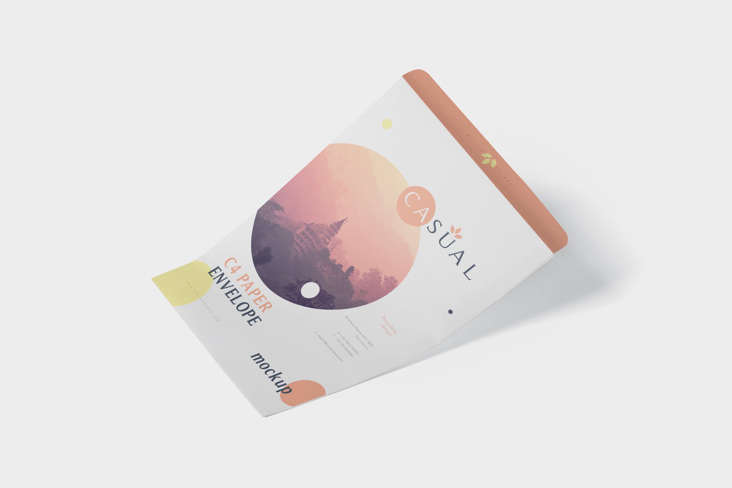 C4尺寸规格企业高端信封设计图素材库精选 Envelope C4 Mock-Up Set插图