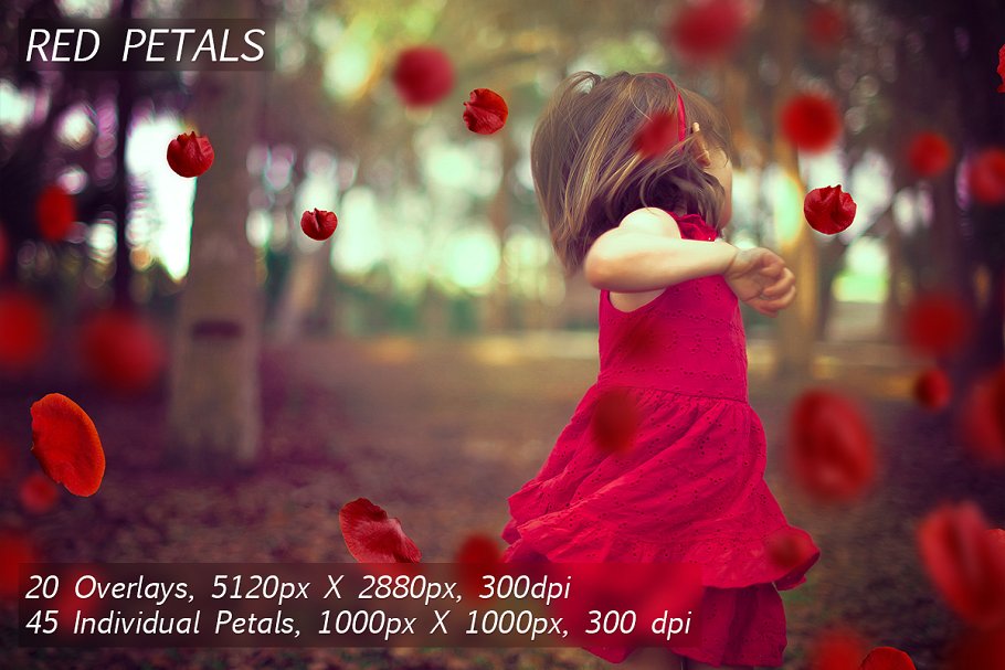 5K高清分辨率花瓣叠层覆盖层素材 5K Petals Overlays插图(4)