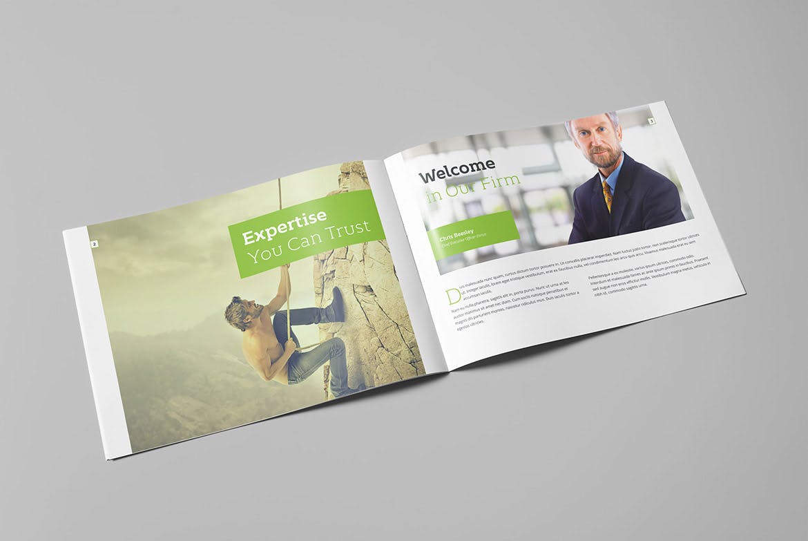 集团公司高档精装画册设计模板 Enrico Business Landscape Brochure插图(1)
