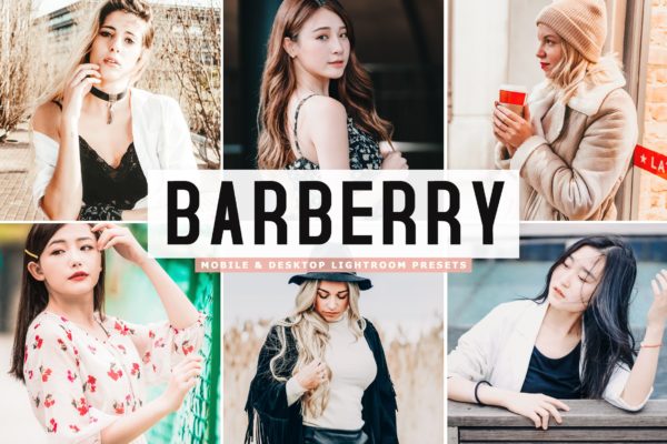 唯美舒适暖色调肖像摄影素材库精选LR预设 Barberry Mobile &amp; Desktop Lightroom Presets