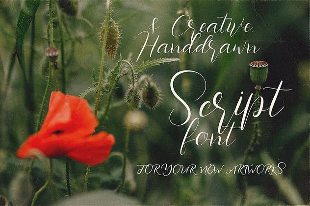 创意手写英文书法字体下载 Southlove Script Font插图(1)