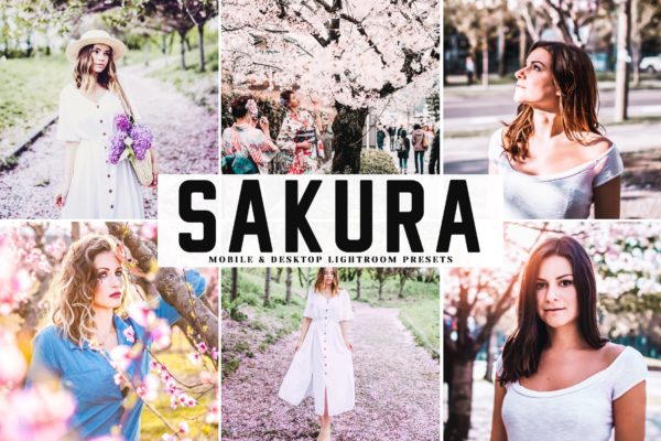 低饱和度柔和色调照片调色滤镜素材库精选LR预设 Sakura Mobile &amp; Desktop Lightroom Presets