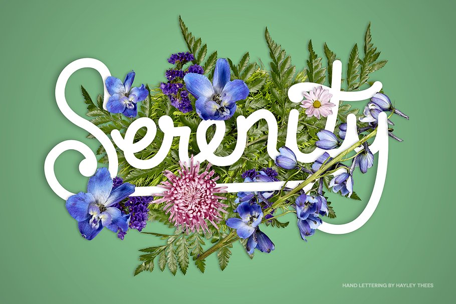 花卉版画布局图层样式 FlowerType for Photoshop插图(4)