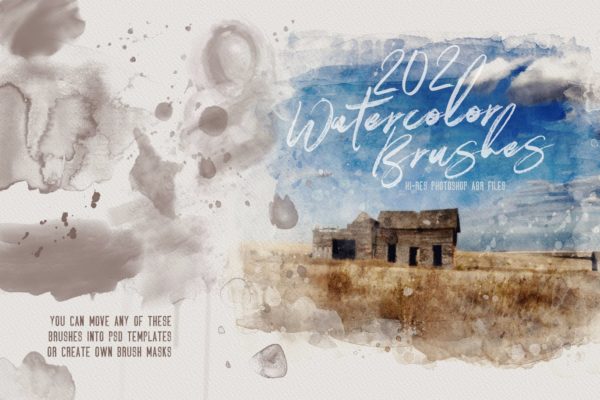 202种抽象和花卉水彩PS笔刷素材库精选 202 Watercolor Brushes