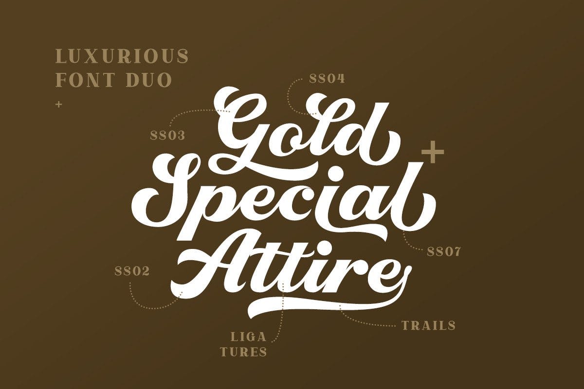 高端品牌设计手写风格/衬线二重奏字体素材库精选 Righton – Script & Serif Font Duo插图(1)