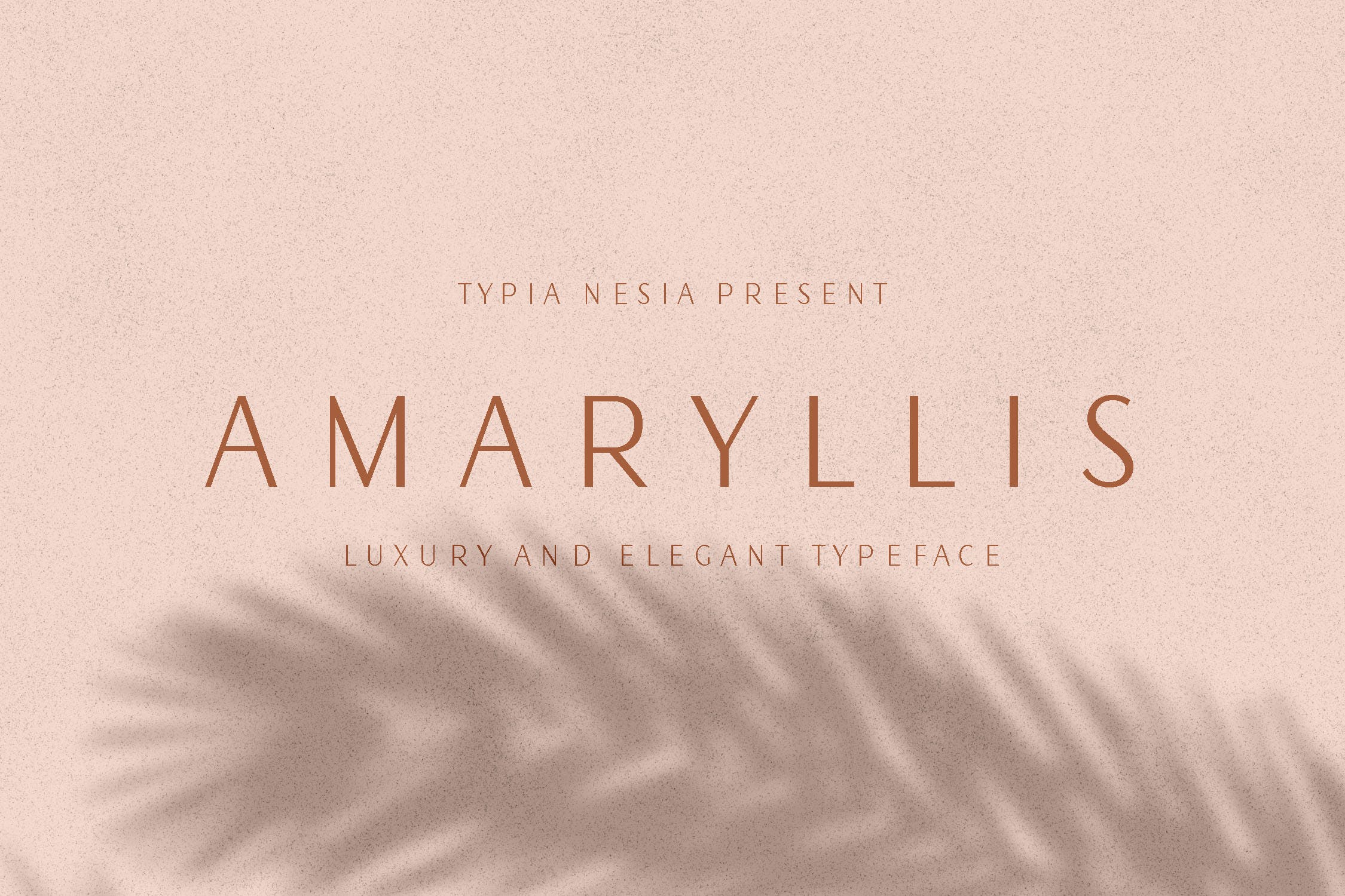 现代优雅风格英文无衬线字体 Amaryllis Sans插图