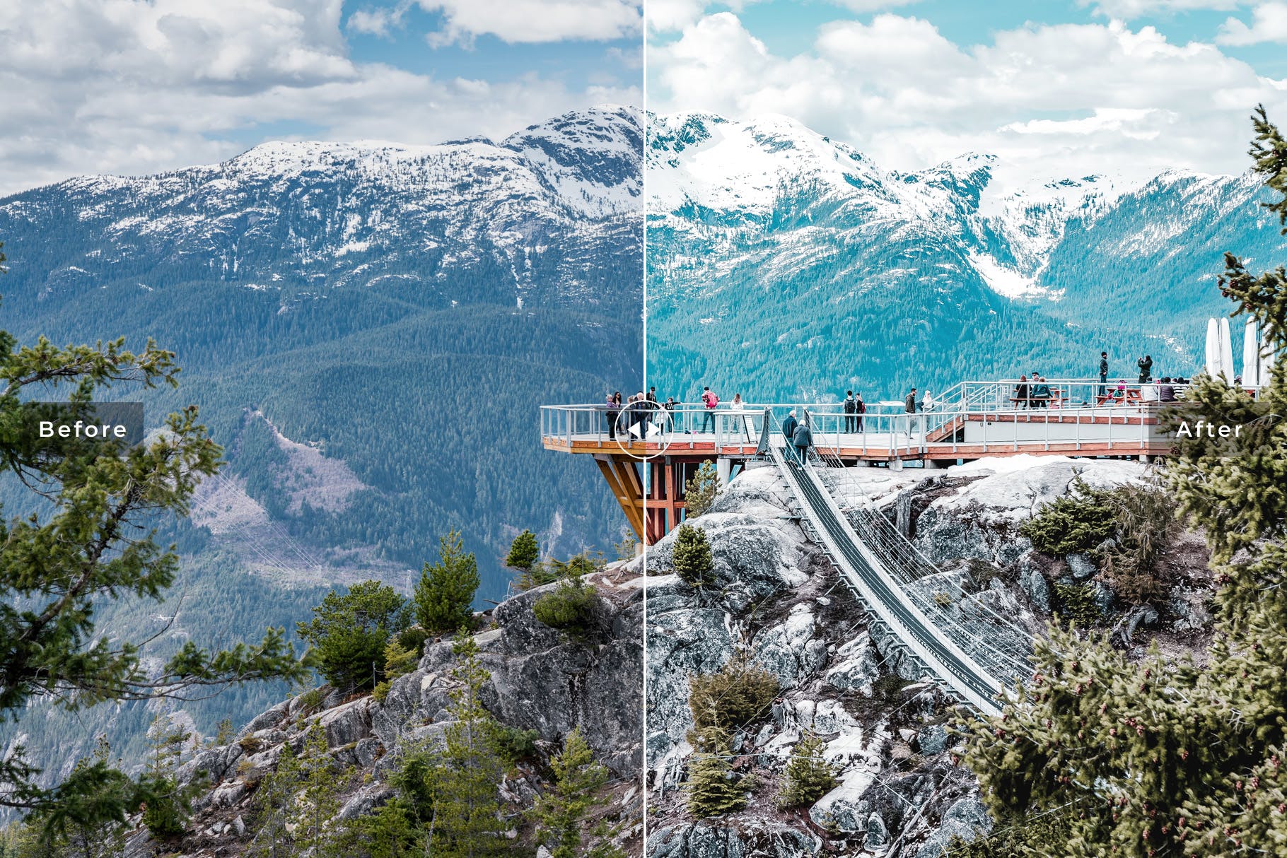 加拿大旅行摄影照片后期处理Lightroom调色预设 Vancouver Mobile & Desktop Lightroom Presets插图(3)