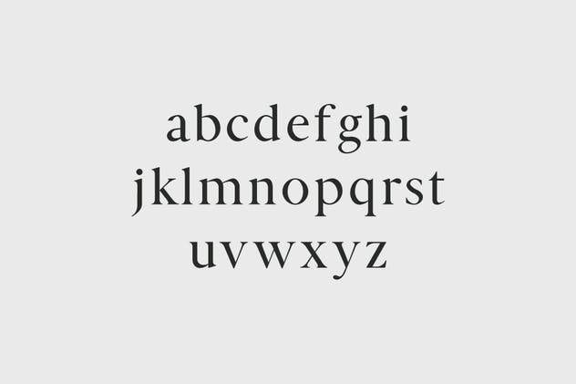 版式设计必备的现代优雅衬线字体家族 Zimra Serif Fonts Family Pack插图(2)