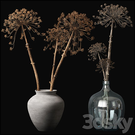 花瓶中的干花素材之家精选3D模型