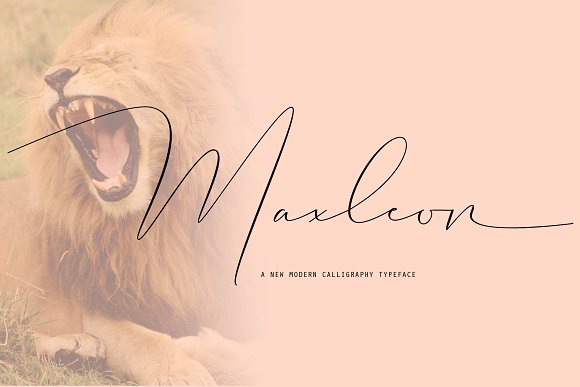 Maxleon Font插图