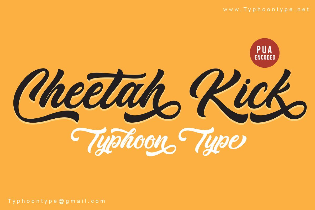 Cheetah Kick font素材之家精选英文字体
