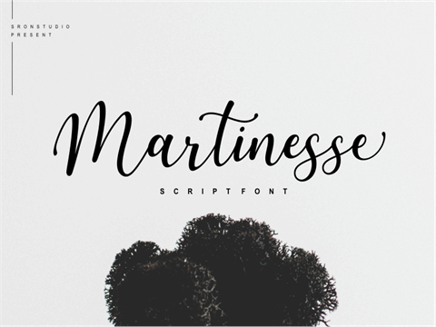 Martinesse font素材之家精选英文字体