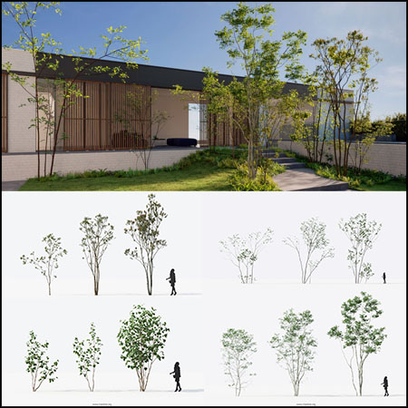 16款公园花园内装饰小树树木植物素材之家精选3D模型