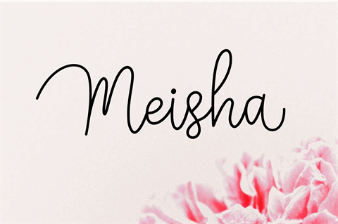 Meisha font素材之家精选英文字体