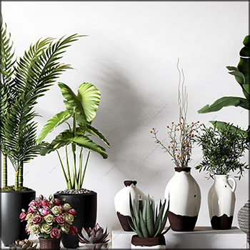现代绿色花卉植物盆栽盆景素材之家精选3D模型
