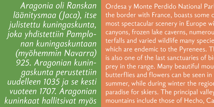 Aragon Sans Font Family插图