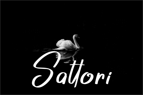 Sattori font素材之家精选英文字体