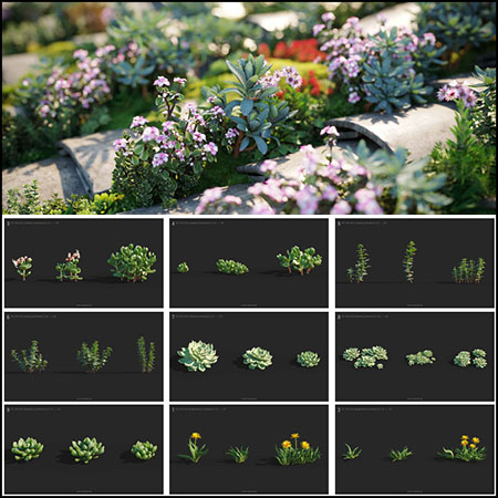 12个品种72个多肉植物花卉素材之家精选3D模型