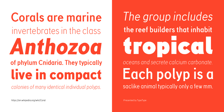 现代人文主义无衬线字体 TT Corals Font Family插图(1)