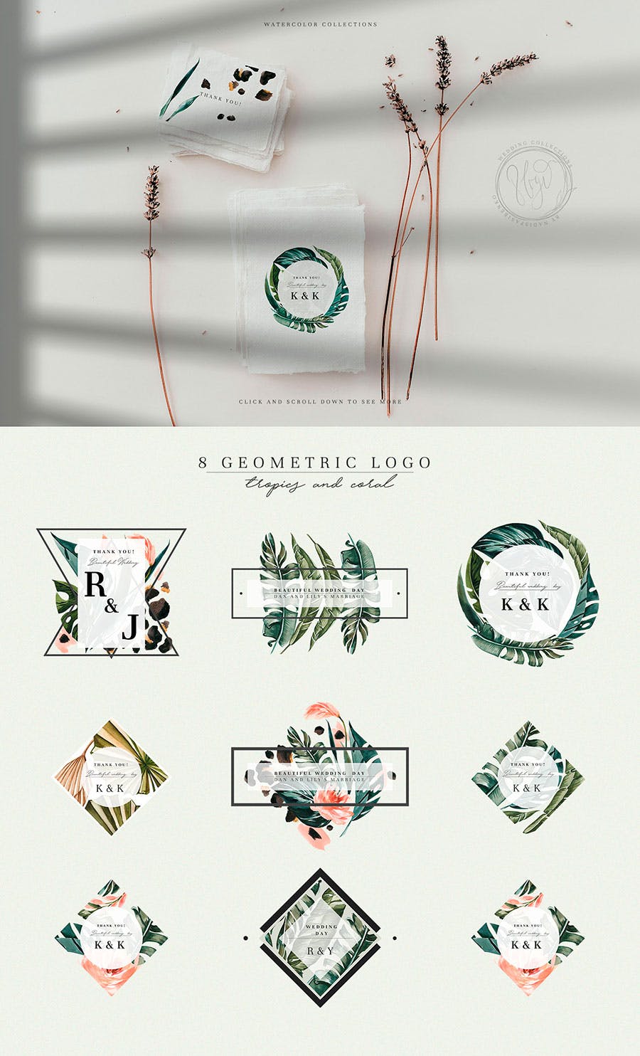 热带植物水彩手绘图案设计素材套装 Tropics & Coral Watercolor Set插图(4)