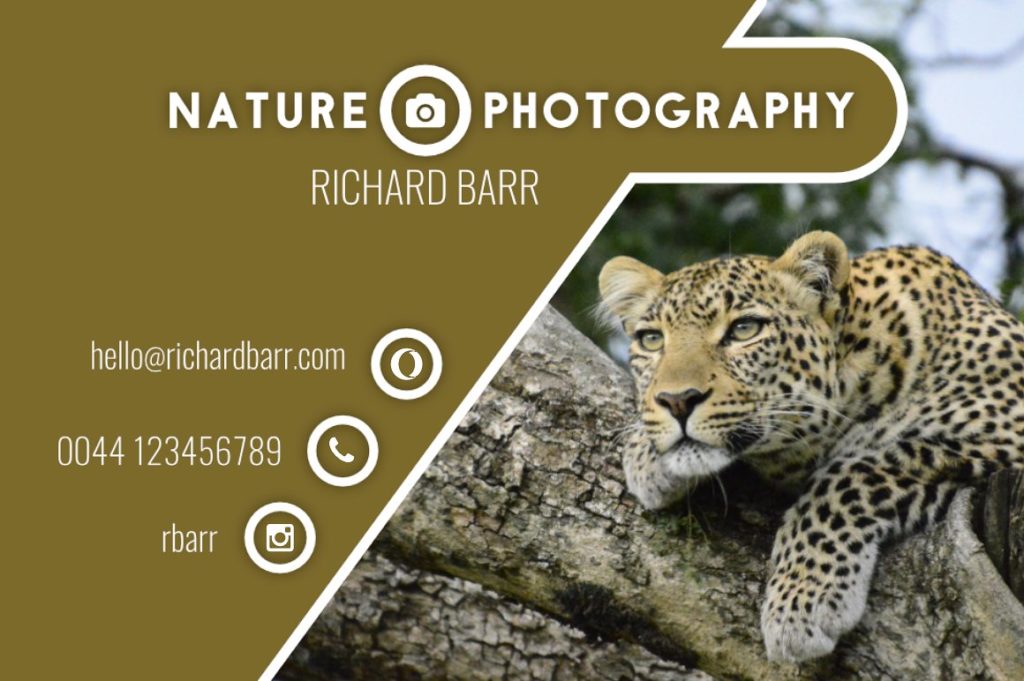 一组免费摄影师的名片模板下载[eps,psd,svg,png]插图(1)