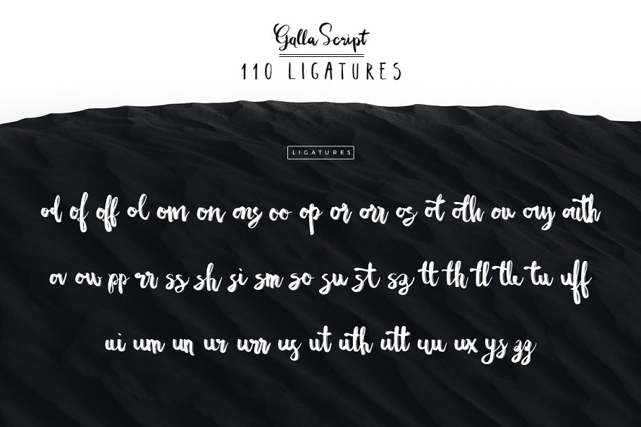 13款手写英文字体合集&Logo模板、矢量插画 Wonderland Fonts Pack & Branding Kit插图(95)