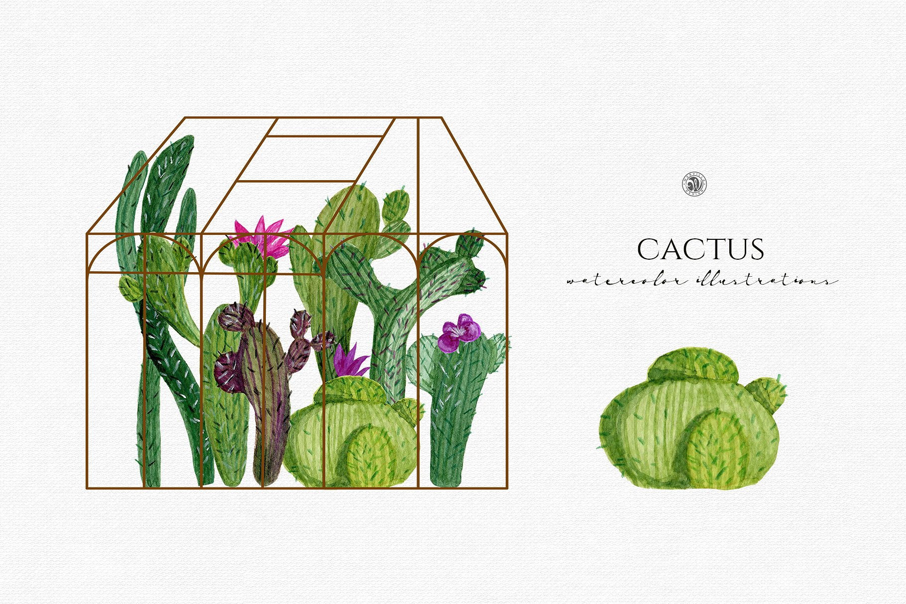水彩仙人掌插图合集 Cactus watercolor illustrations插图(1)
