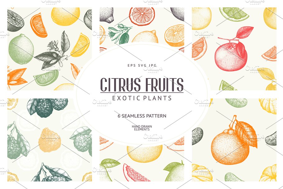 手绘素描柑橘类水果矢量无缝纹理 Vector Citrus Fruits Patterns Set插图