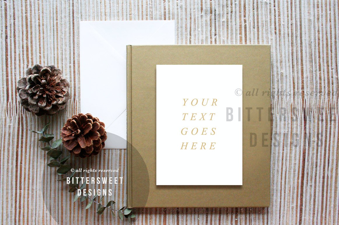 摄影艺术作品风格背景模板 Styled Product Background插图