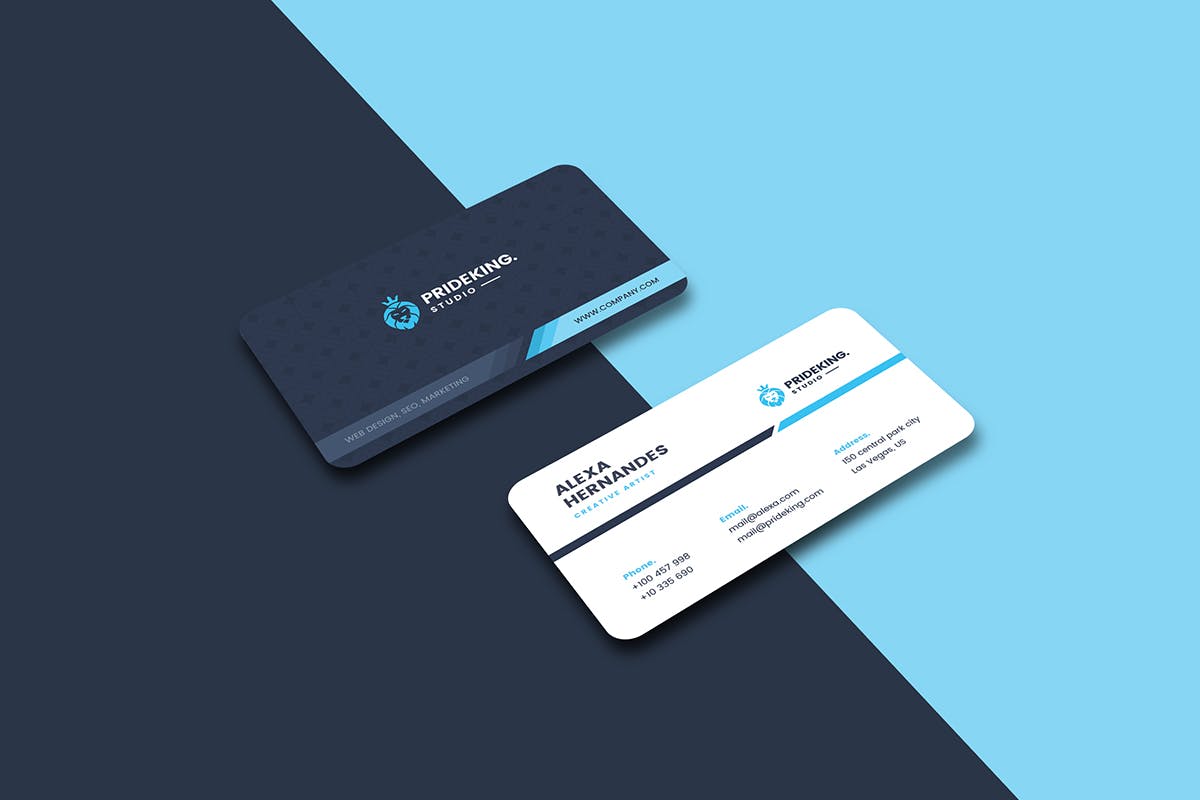 圆角双色设计风格公司名片设计模板 Business Card插图