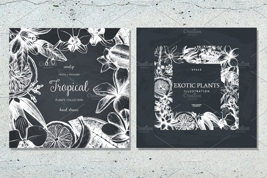 复古风奇花异草设计素材集 Vinatge Exotic Plants & Flowers Set插图(5)
