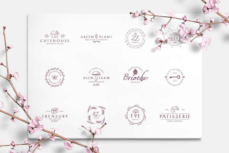 13款手写英文字体合集&Logo模板、矢量插画 Wonderland Fonts Pack & Branding Kit插图(33)