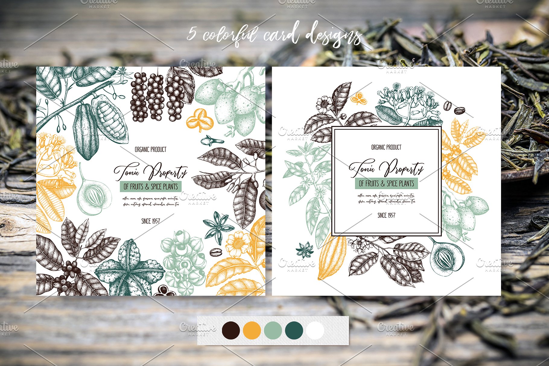 滋补辛辣植物素描矢量图形 Tonic & Spicy Plants Sketch Set插图(4)