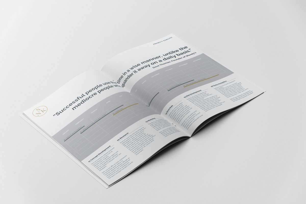 简约商业项目提案企业宣传册设计模板插图(5)