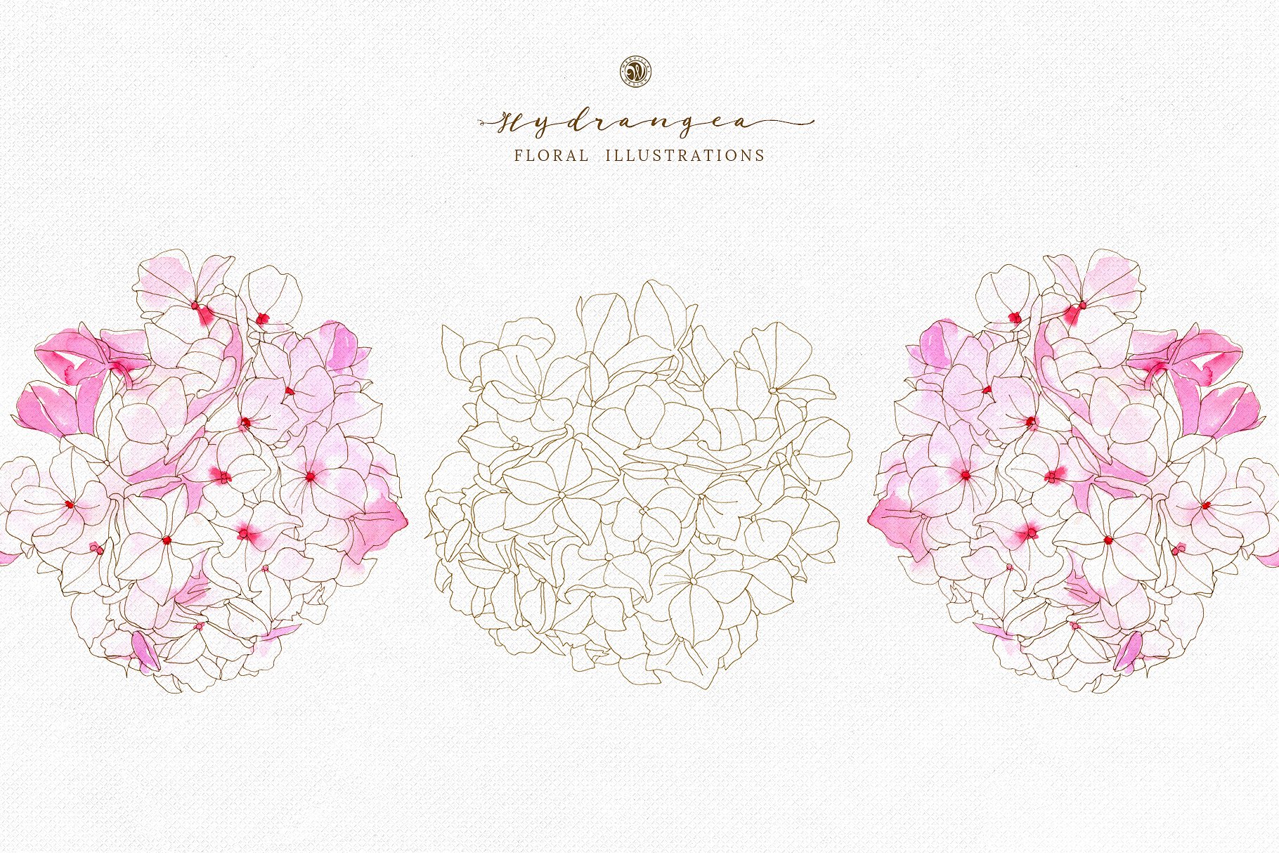 手绘绣球花水彩花卉剪贴画合集 Hydrangea – watercolor and ink插图(3)