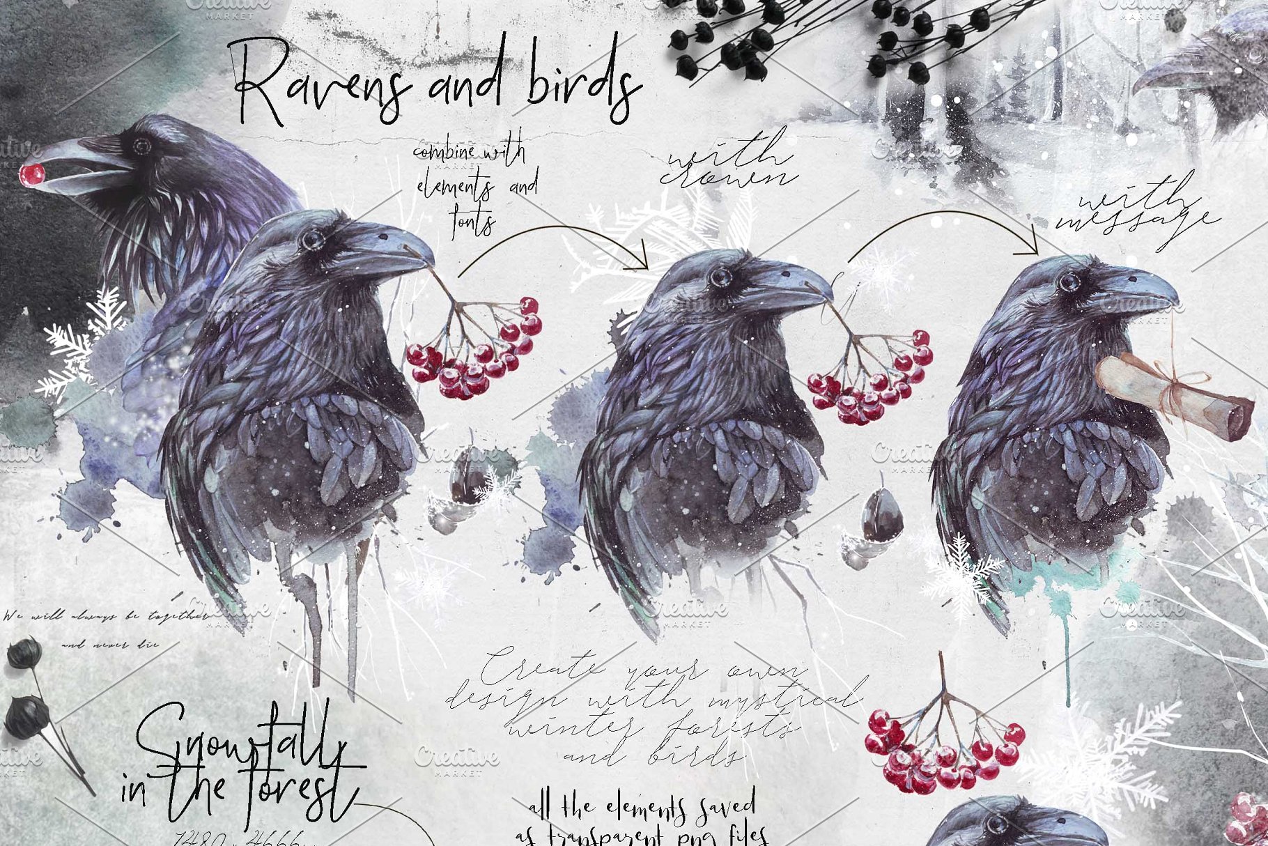 乌鸦、鸟、冬季风景、场景、水彩造型&字体 [2.81GB, 格式PNG, PSD,JPG &HTML] Ravens & birds vol.1插图(6)