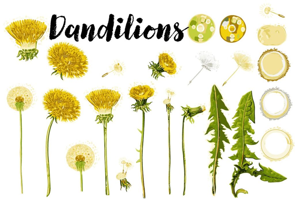 1700+多主题矢量图形素材包下载[PNG, EPS, AI,ABR,JPG ]插图(34)