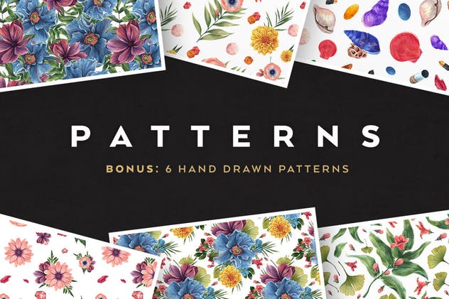 水彩花卉插画元素套装 Watercolor Enthusiast Graphic Kit插图(3)