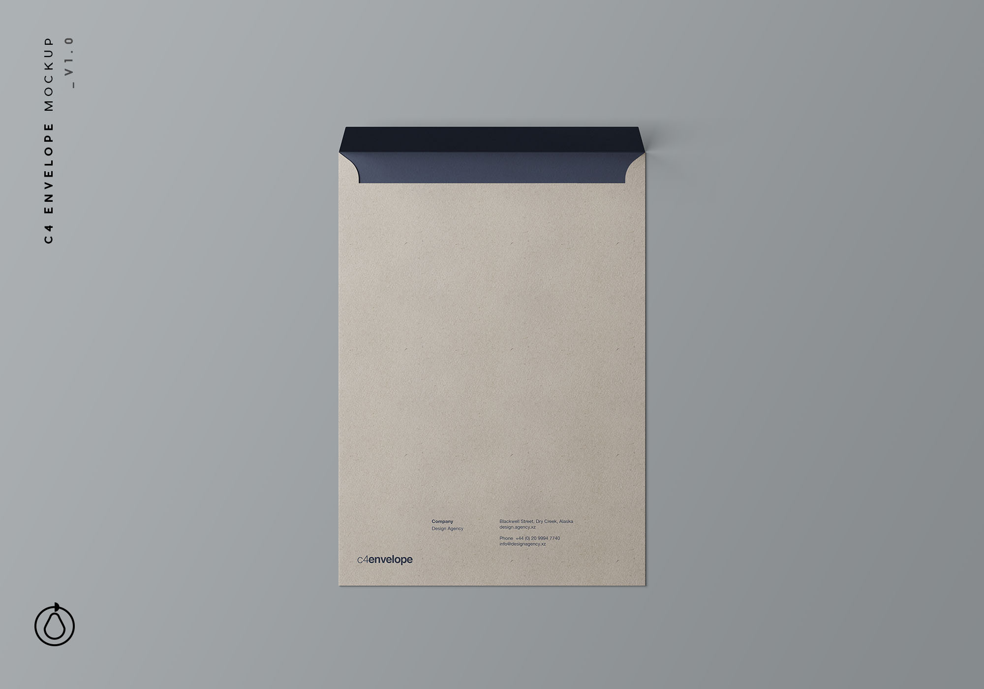C4标准尺寸信封设计图样机 C4 Envelope Mockup插图