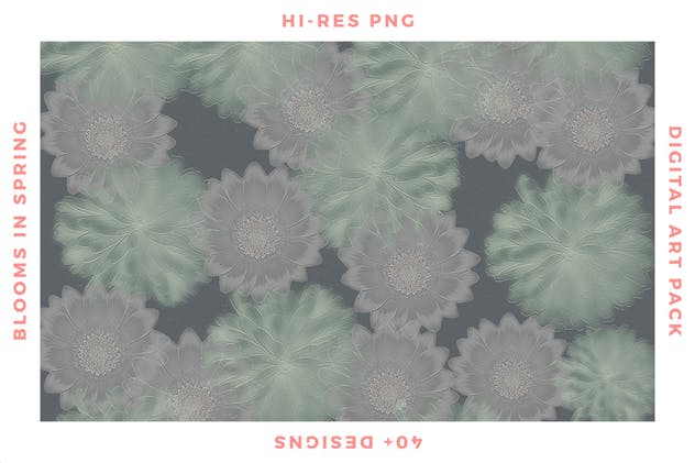 梦幻春天花卉图案纹理合集 Blooms in Spring插图(9)