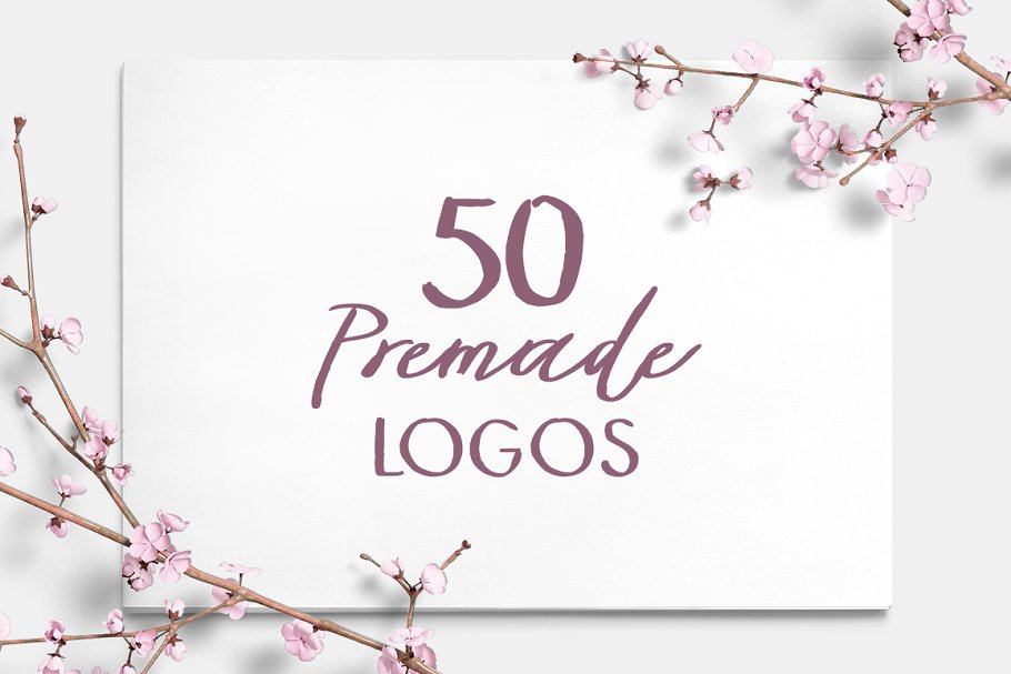 13款手写英文字体合集&Logo模板、矢量插画 Wonderland Fonts Pack & Branding Kit插图(27)