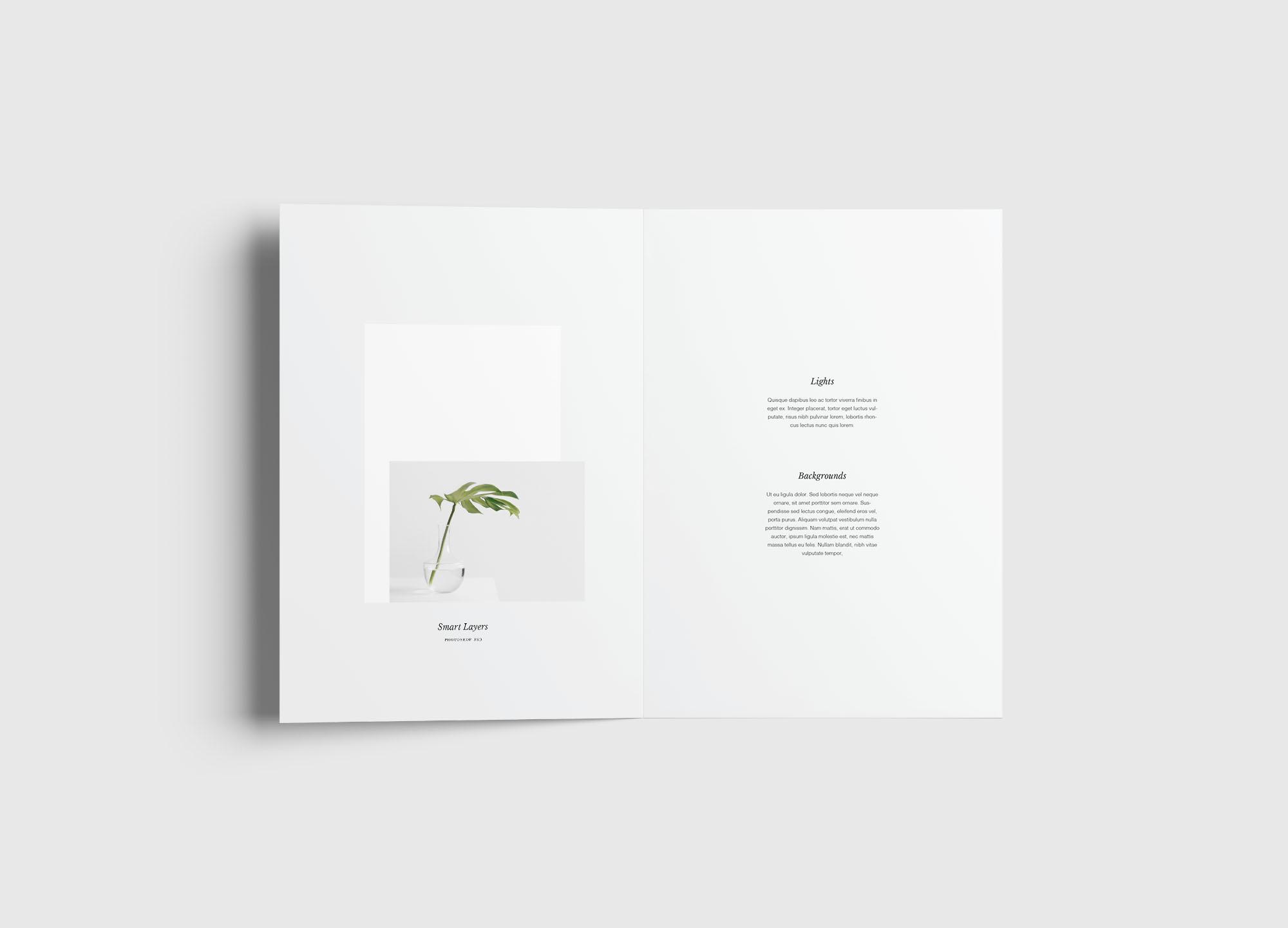 A4尺寸大小双折传单设计内页版式效果图样机模板 A4 Bifold Brochure Mockup插图(6)